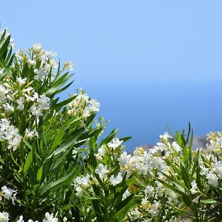 Mit Privatpool Fuer 4 Personen Ca 65 Qm In Frigiliana, Andalusien Costa Del Sol *
